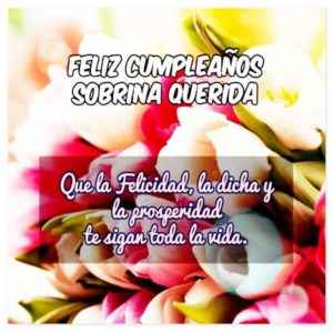 Frases De Felicitaciones De Cumpleanos Para Una Sobrina Top 2020