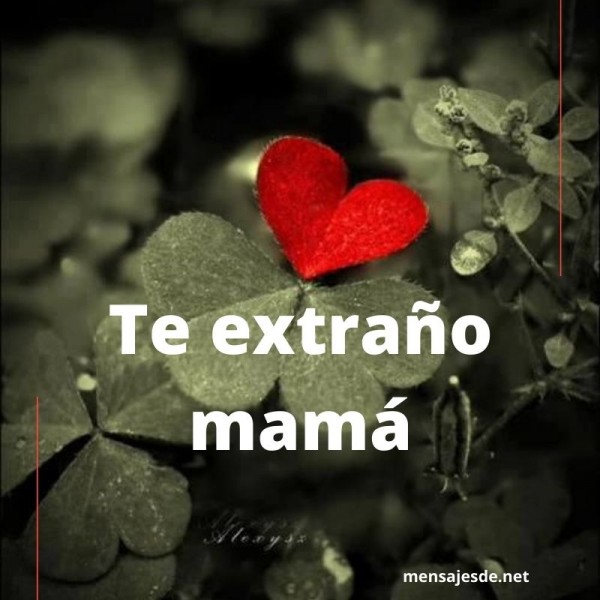 Te extraño mamá: mensajes tristes y melancólicos para una madre 【2021】