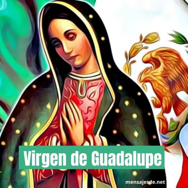 33 Mensajes Día de la Vírgen de Guadalupe: Frases, Imágenes y Tarjetas #  2022
